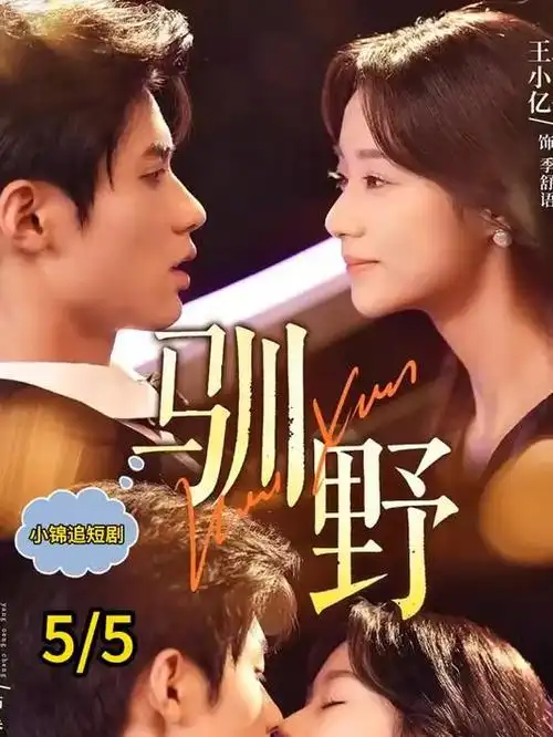 电视剧《警察荣誉·第二季》海报